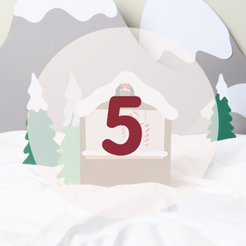 number five in red in a winter landscape